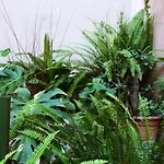Aurusa - Pollina, Sicilia Autentica *